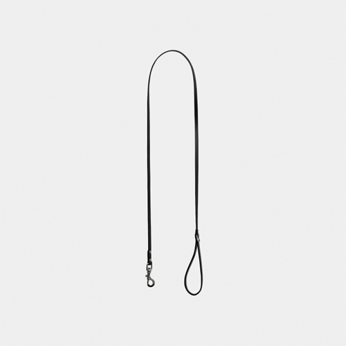 Script Studs Dog Leash Black