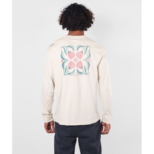 Inverted Long Sleeve seashell