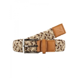 Variation Belt Sandstone