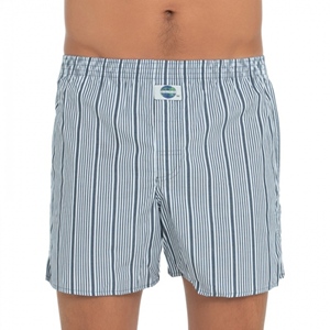 Stripe