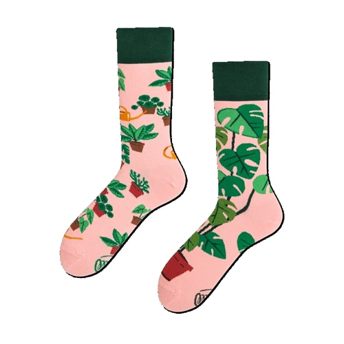 Many Mornings Socken Plant Lover