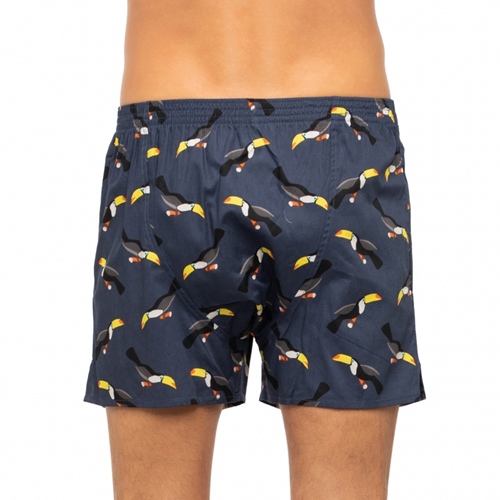 Tucan