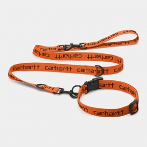 Script Dog Leash & Collar Orange Black