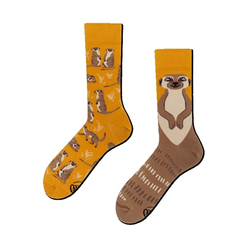 Many Mornings Socken The Meerkat